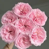 “母亲节”A2【粉荔枝 苏菲 风铃 蓝星花 康乃馨 非洲菊】