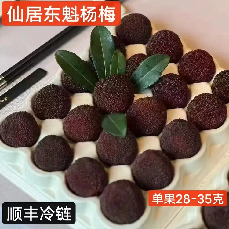 顺丰冷链正宗仙居东魁杨梅新鲜大果孕妇水果颗粒礼盒