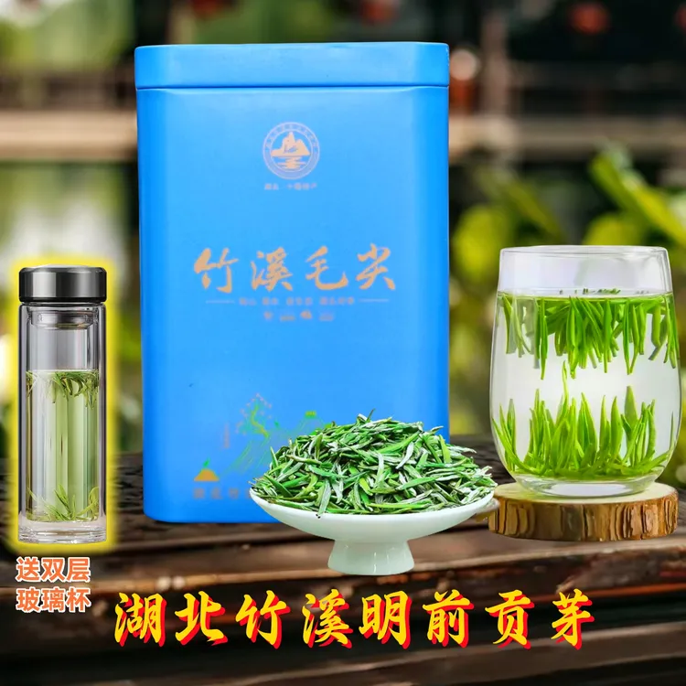 湖北竹溪毛尖箭茶贡芽高香耐泡绿茶明前嫩芽茶清香鲜爽罐装礼盒装