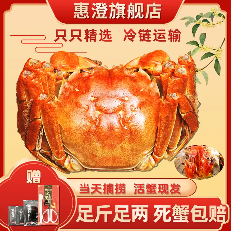 【活蟹】精挑苏州大闸蟹母蟹3.2-3两8只10只苏州精品蟹黄新鲜大螃蟹