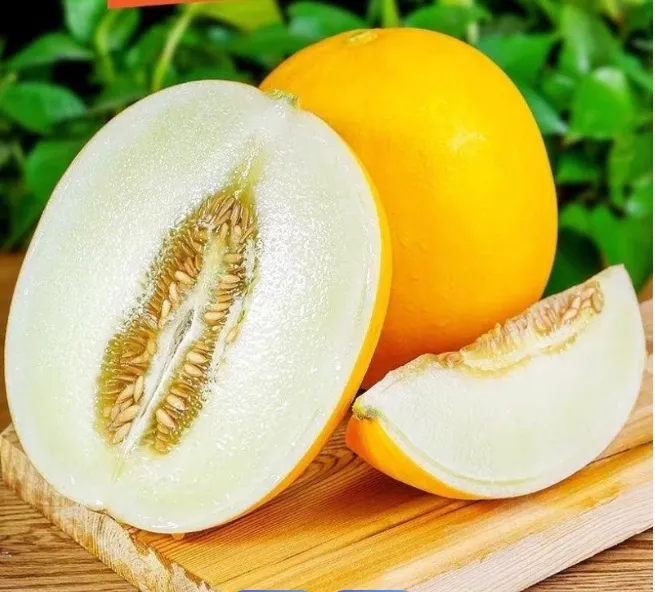 【尝鲜装】2颗果6斤左右新鲜水果头茬甜瓜京东包邮坏果包赔秒杀价格