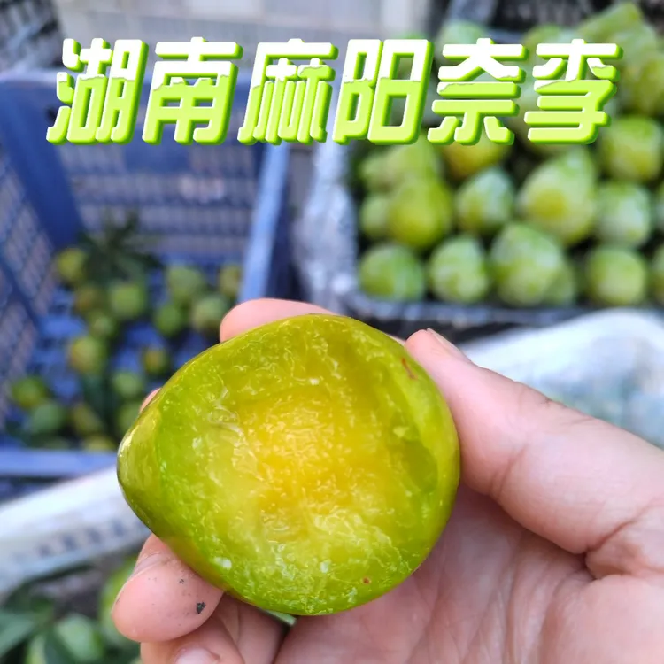 【湖南麻阳奈李特大果】正宗麻阳本地脱骨奈李脆甜多汁3/5/8斤包邮