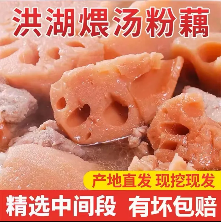 正宗洪湖粉藕新鲜现挖煲汤粉糯香甜莲藕九孔藕3-5斤带泥保鲜发货