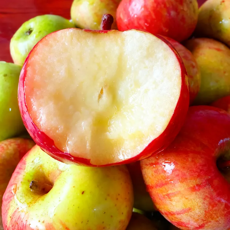 正宗东北产地新鲜应季小国光苹果酸甜可口多汁水果5斤包邮