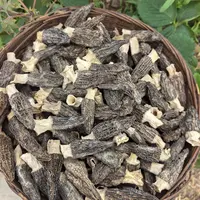 【助农代卖】 秦岭高山仿野生羊肚菌  自然生长 无农药无激素