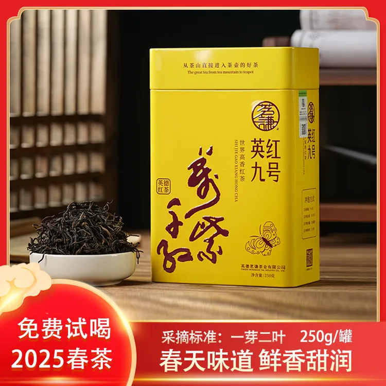 英德红茶2025年春茶英红九号送老师长辈茶叶罐装250g
