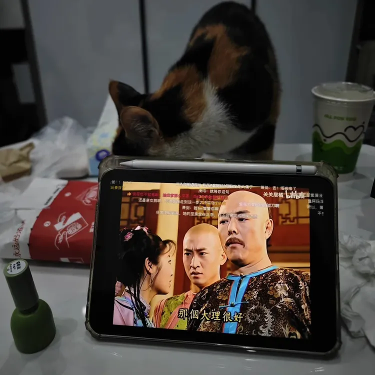 95新 Apple/苹果 iPad air超薄绘画办公商务编程游戏指纹平板电脑
