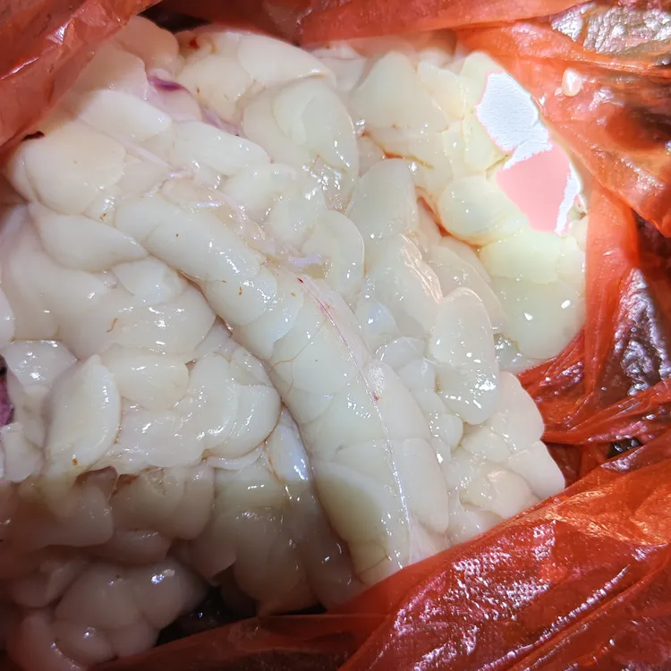 眼镜新鲜动物油30克/瓶