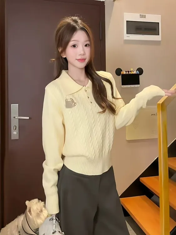 学院风麻花polo翻领毛衣女秋冬新款韩系刺绣套头显瘦新款潮牌女装