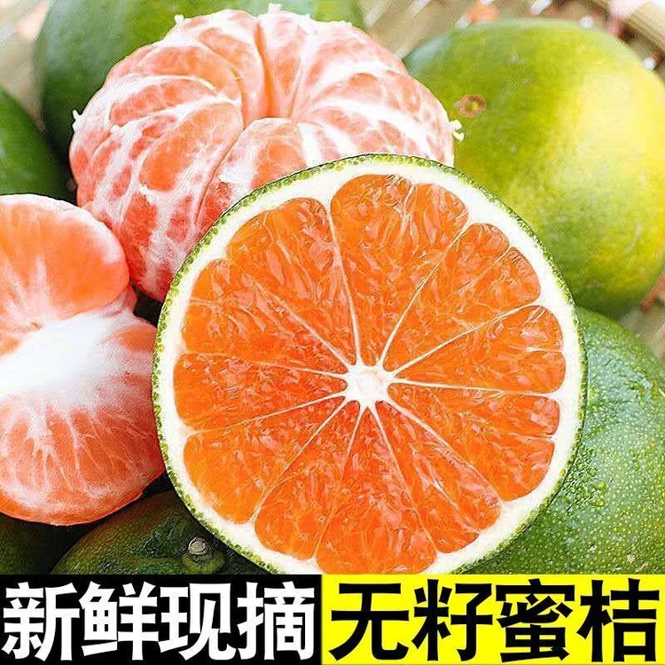 【海岛蜜橘】正宗象山无核无籽大丰蜜桔现摘现发新鲜水果包邮