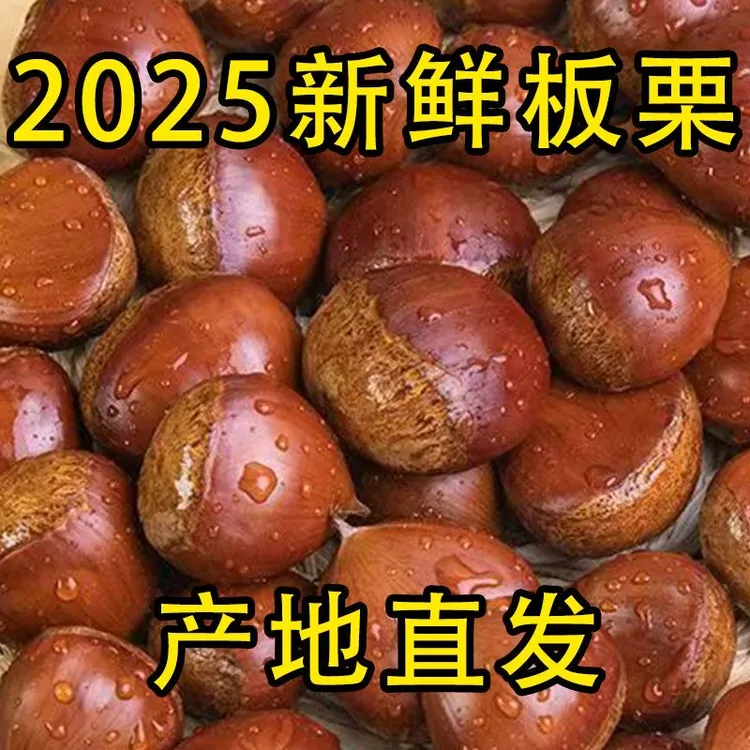 高山老树新鲜香甜正宗板栗丹东板栗颗颗饱满香糯难剥皮到手5斤装