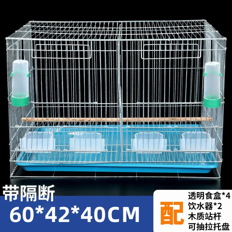 虎皮鹦鹉中大型加粗养殖大号金属繁殖鸟笼子鹦鹉笼子2025新款