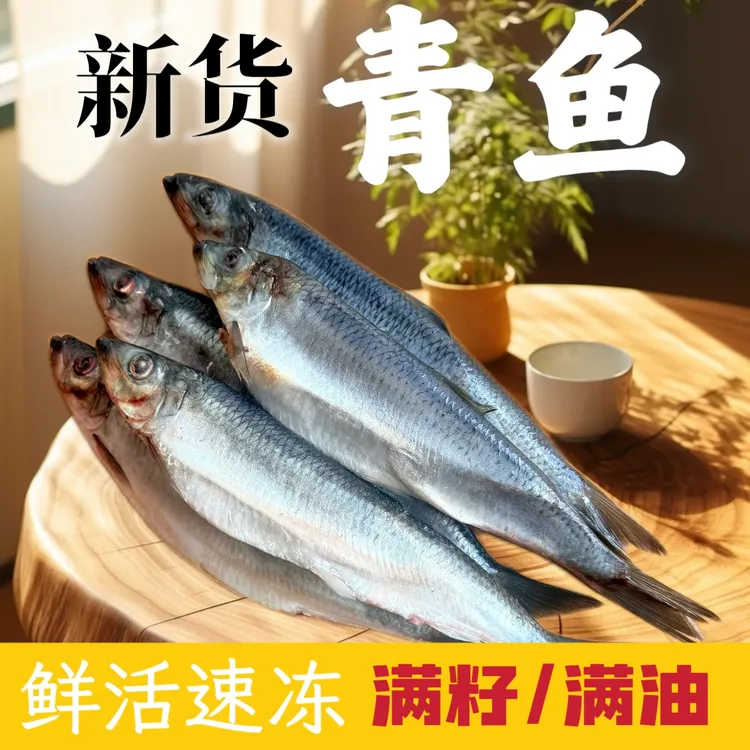 延边发货青鱼野生青鱼东北沙丁鱼延边冷冻新鲜鱼批发价