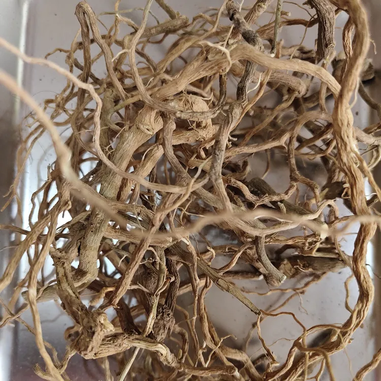 闽西客家 野生干品黄花倒水莲 黄花远志 观音串 山黄芩月子茶煲汤