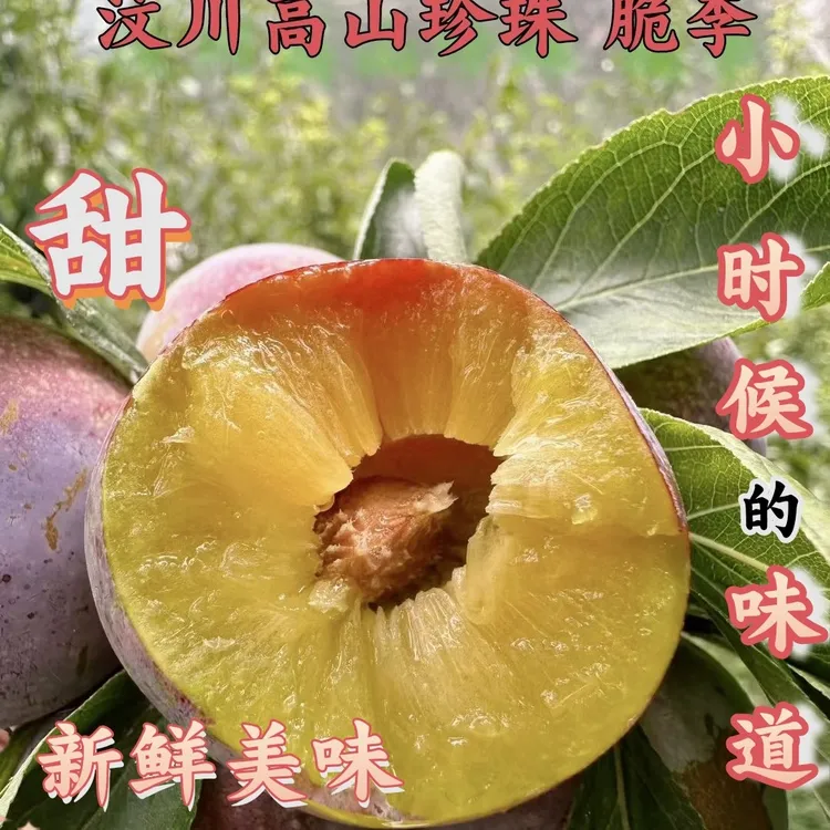 【顺丰包邮】正宗汶川高山珍珠脆李 樱桃小李子 当季新鲜水果