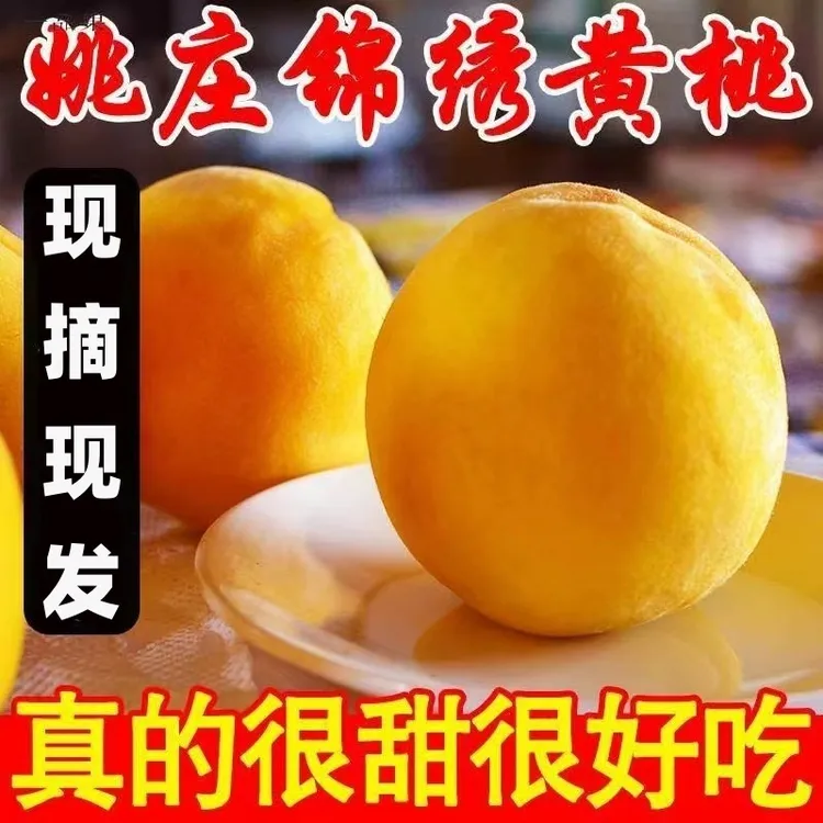 【顺丰送到家】嘉善姚庄新鲜锦绣大黄桃应季水果爆甜超值装黄桃