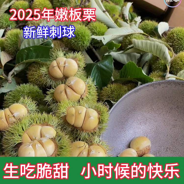 【顺丰包邮】新鲜板栗信阳高山头茬生板栗球带刺壳毛栗子白壳嫩板栗