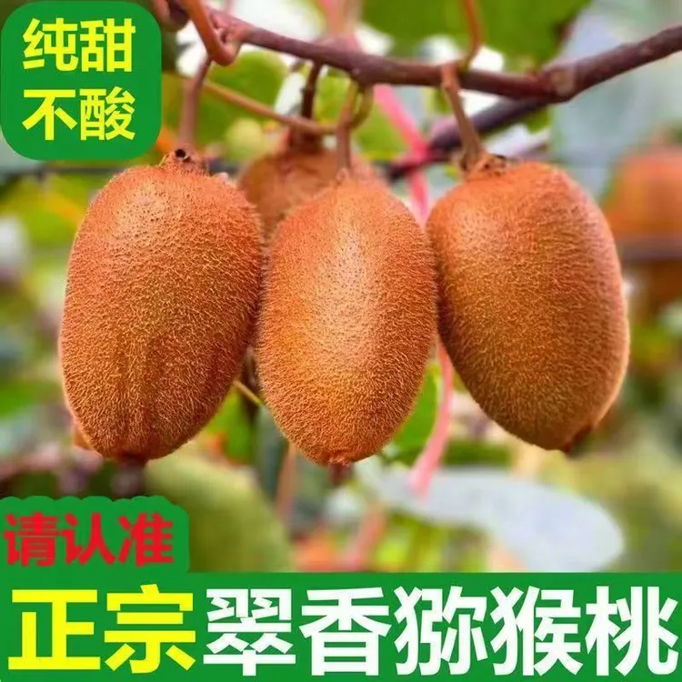 陕西周至翠香猕猴桃新鲜当季水果绿心奇异果香甜多汁