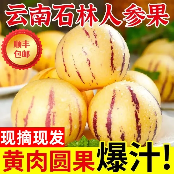 【顺丰包邮】真·树上熟云南石林风化石人参果黄肉圆果低糖新鲜孕妈