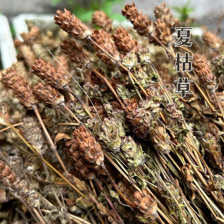 江西夏枯草整株根茎药材白毛功效夏枯球野生自然晾干泡水养生干货