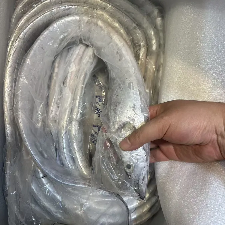 野生东海油带鱼新鲜美味每条一斤以上顺丰冷链包邮