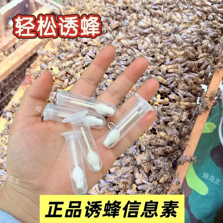 诱蜂信息素棉芯野外引蜂招蜂专用诱蜂信息素中土蜂专用强效