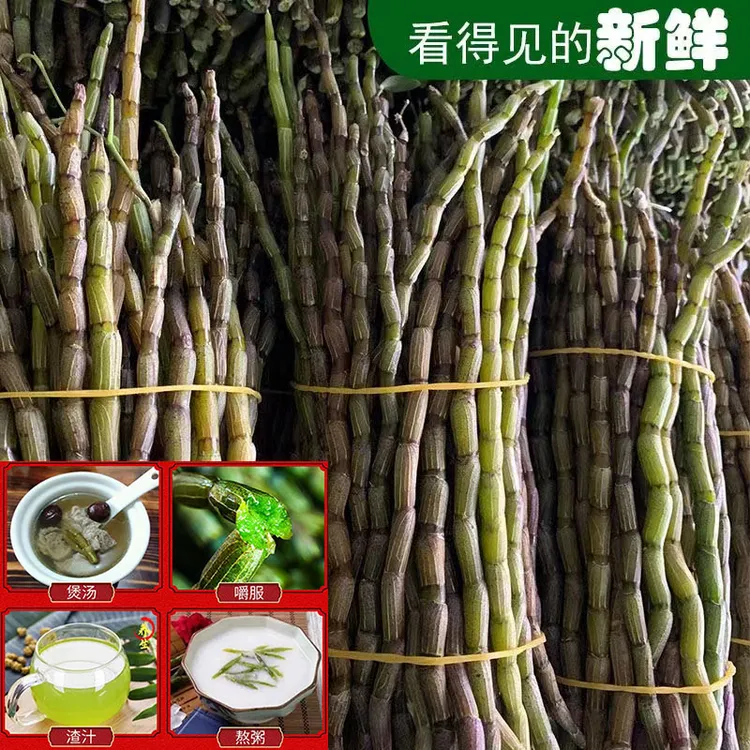 铁皮石斛鲜条5年生新鲜铁皮石斛条枫斗云南紫皮石斛花干石斛泡酒