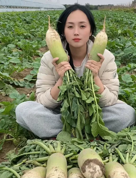 河南露天新鲜现挖现发老品种青萝卜应季蔬菜