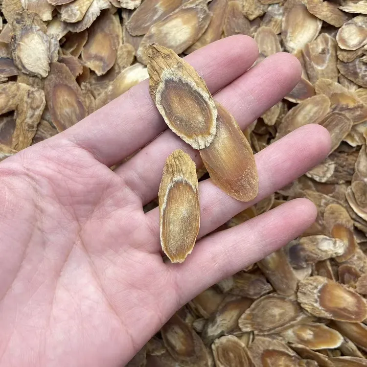 （168菊花芯高丽）无糖品质好