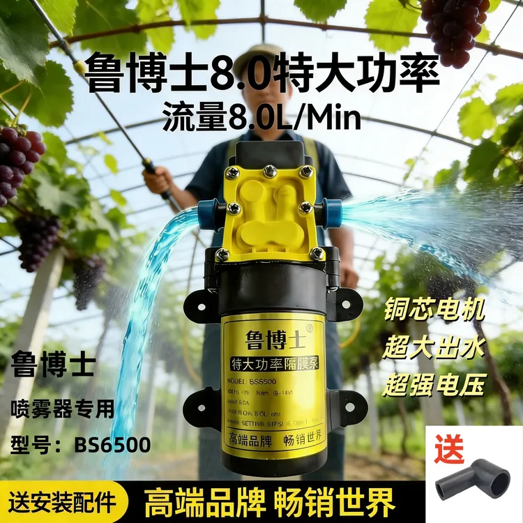 鲁博士8.0超高压电动水泵高压款喷雾器水泵洗车通用款 3商品图