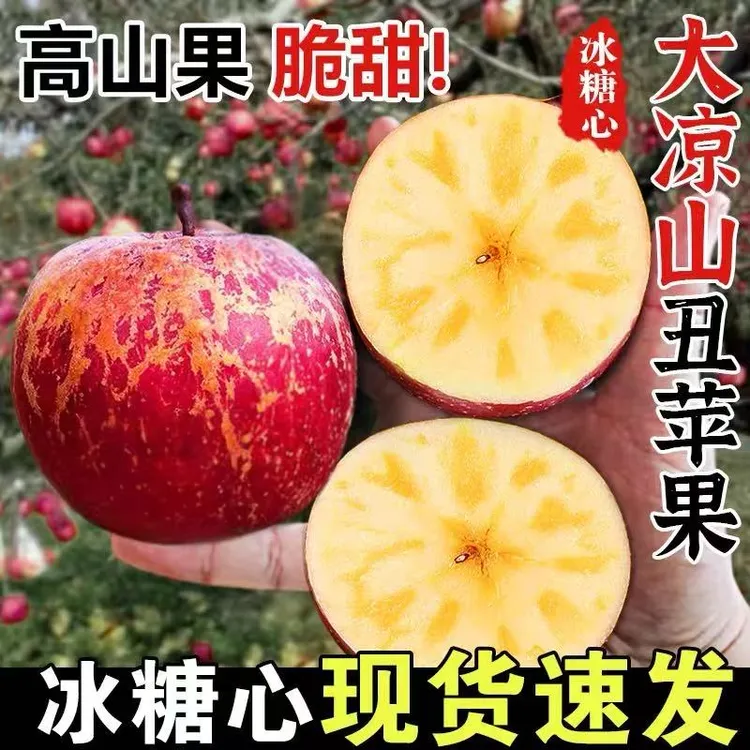 【正宗】四川大凉山盐源冰糖心丑苹果脆甜多汁新鲜应季水果整箱批发