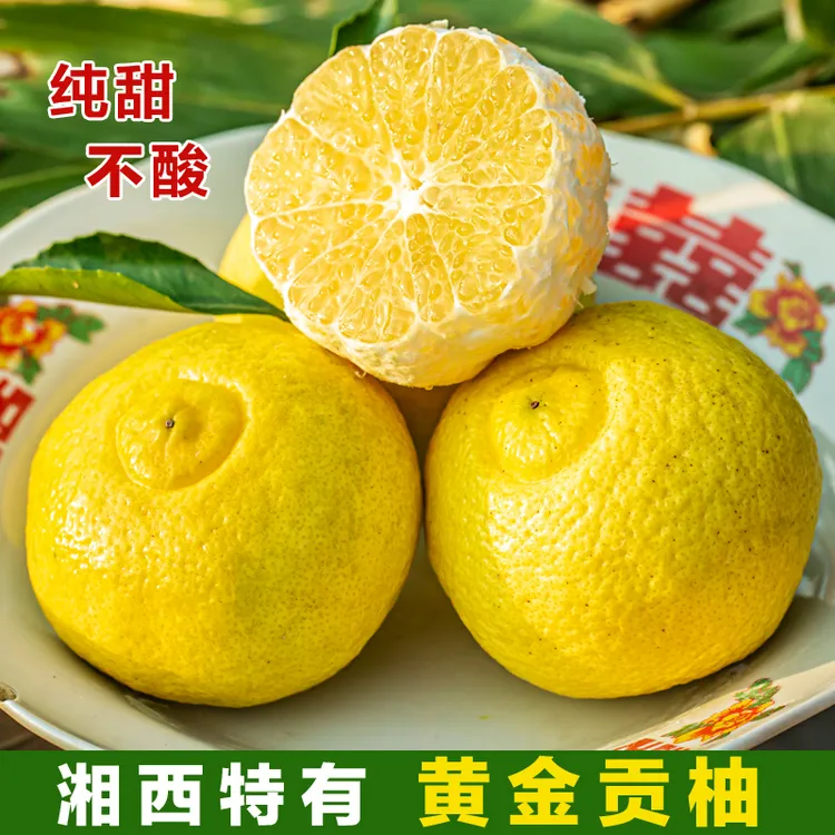 湘西岩垅黄金贡柚纯甜象山青现摘怀化手剥橙清甜多汁产地发货新鲜