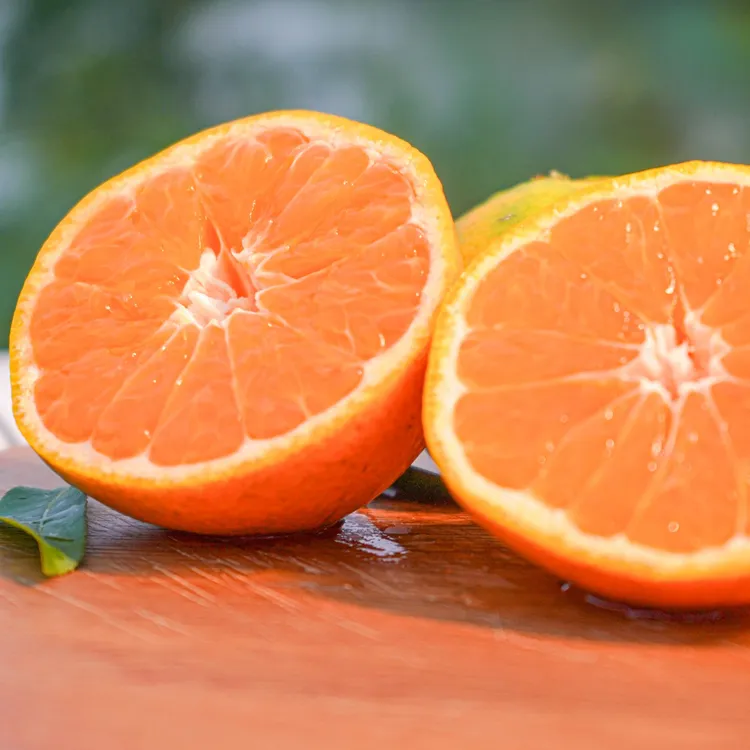 新鲜漳河蜜橘现采现发本地橘园薄皮爆汁橘子无籽蜜桔漳河橘子桔子