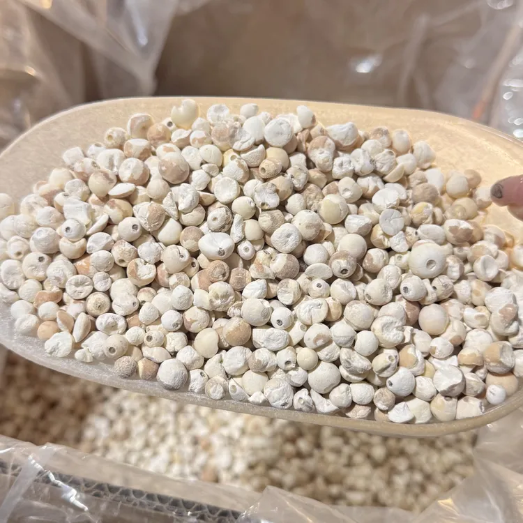 (送龙眼干)苏州苏芡(通货有点花皮)正宗新鲜鸡头米手剥包甜汤煮粥