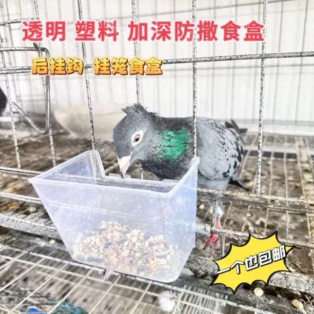 爱鸽鸽子透明原料挂盒喂食器食槽防撒漏食喂食盒鸽子笼用品