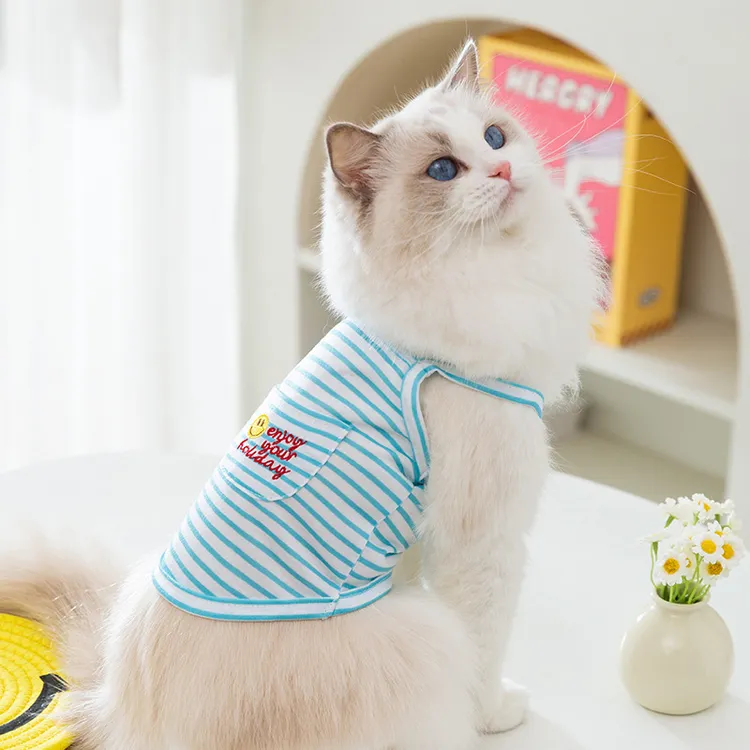 吊带布偶美短背心防掉毛春夏季宠物小猫英短透气衣服猫咪薄款服饰