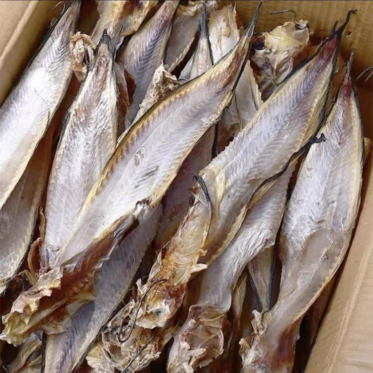 大连兔子鱼淡干咸鱼棉鱼狮子头鱼自然晾晒味道鲜美