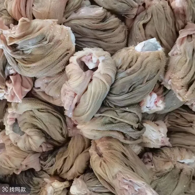 内蒙古锡林郭勒大草原草原羊百叶羊散丹 新鲜羊百叶 下单再送一斤