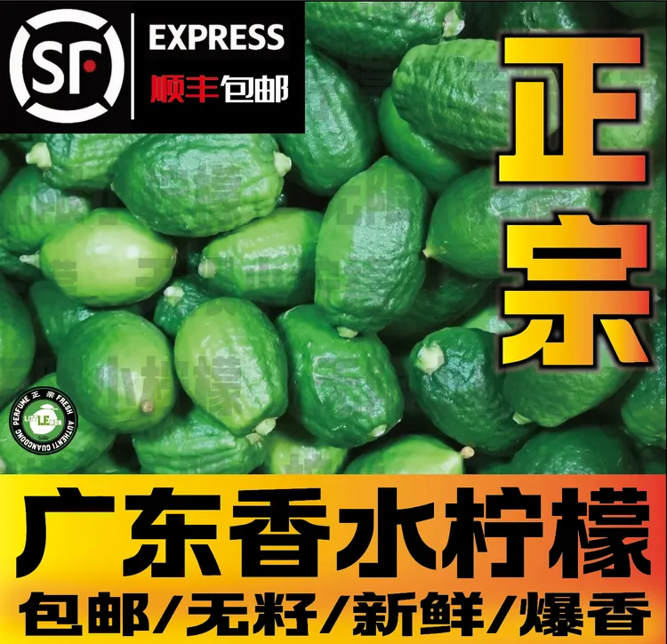 【顺丰包邮】正宗广东香水柠檬一级果现摘果园直发摆摊手打柠茶批发