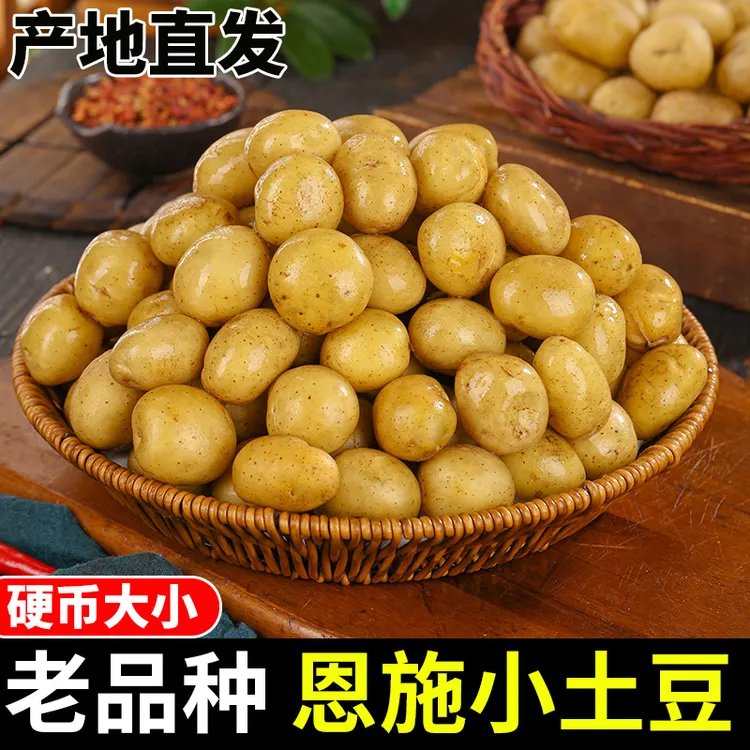 湖北小土豆恩施新鲜蔬菜水果马铃薯正宗黄心薄皮土豆洋芋现挖