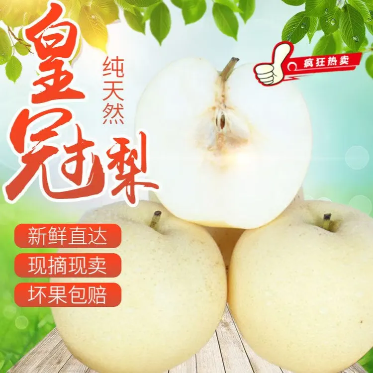 河北赵县皇冠梨之乡新鲜产地直发脆甜皮薄1整箱批发
