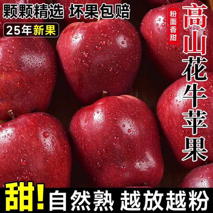 甘肃天水正宗花牛苹果新鲜孕妇水果当季整箱包邮红蛇粉面平安果丑