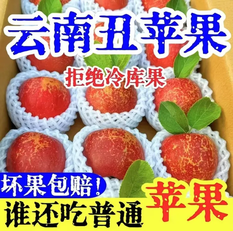 2025正宗云南昭通高原丑苹果现摘现发纯甜无酸口感