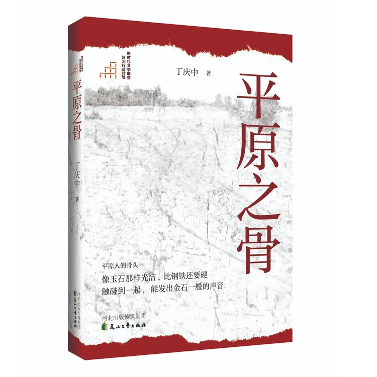 平原之骨 丁庆中著 长篇小说