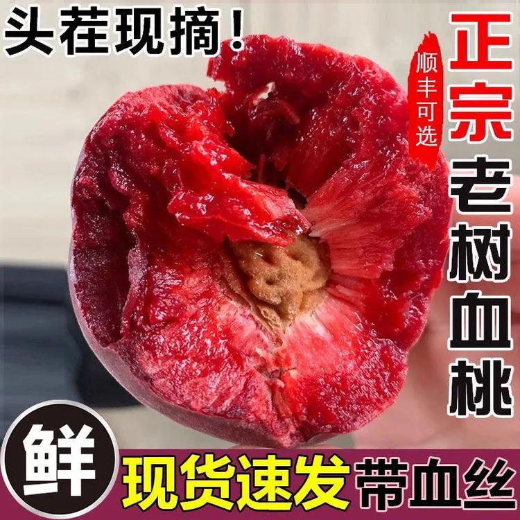 顺丰快递正宗蒙阴老树中华血桃新鲜采摘红心果肉香甜多汁水蜜桃
