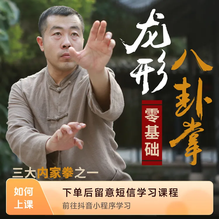 （附赠：随机书籍）龙形八卦掌线上视频课程传武健身防身术内家拳