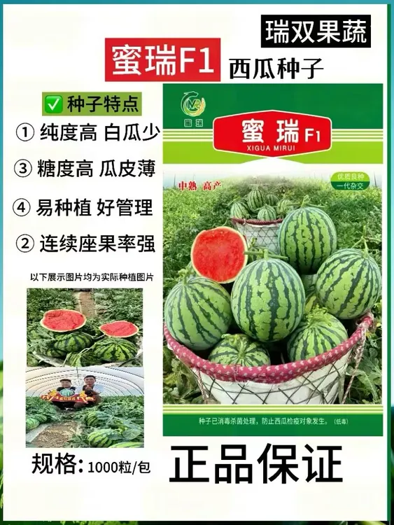 蜜瑞西瓜种子，蜜瑞F1西瓜种子，抗寒抗高温，1000粒一包