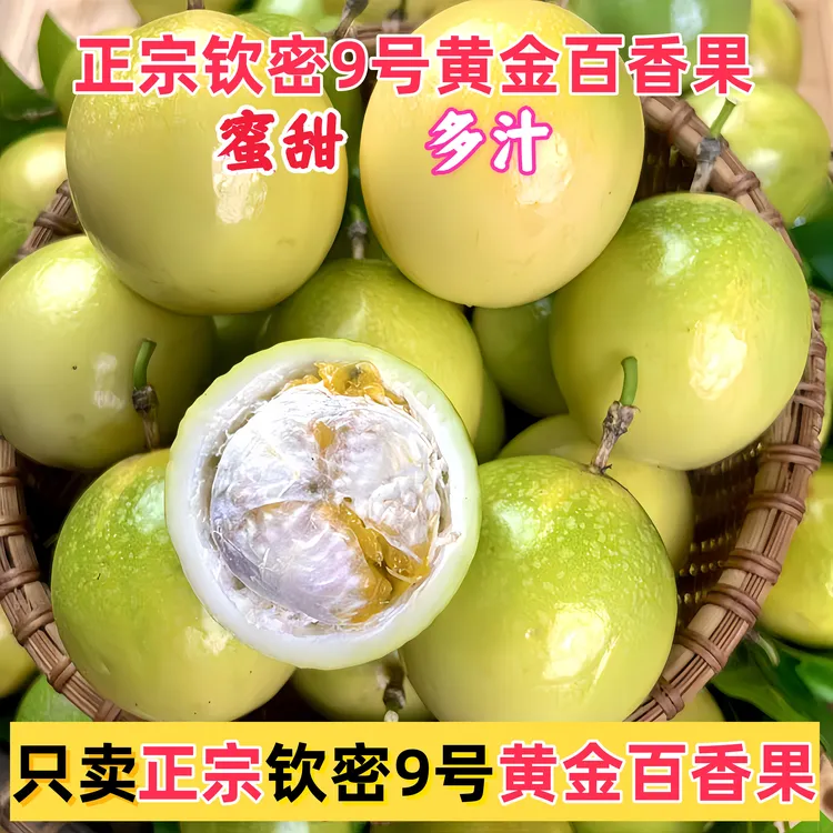 【纯香果】钦蜜9号黄金百香果云南高山种植新鲜现采直发