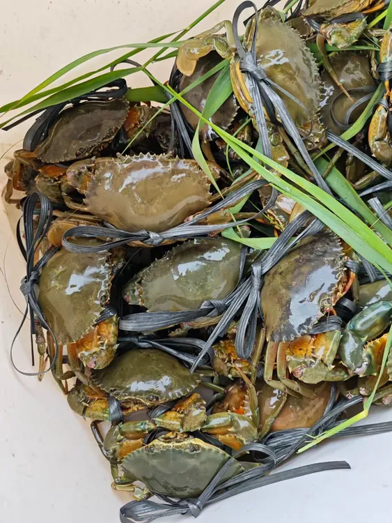 潮汕本地水蟹 净重2斤水蟹（无肉，适合炖汤）包活 鲜活顺丰发货 