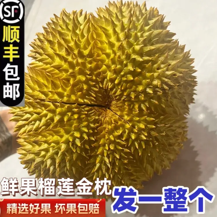 【顺丰现货】泰国金枕榴莲带壳一整个软糯香甜水果批发包邮